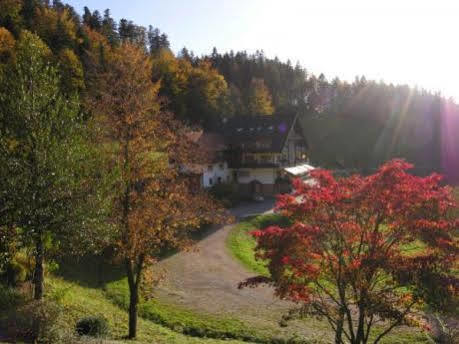 Md Waldhotel Palmspring Bad Peterstal-Griesbach Exterior foto