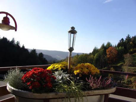 Md Waldhotel Palmspring Bad Peterstal-Griesbach Exterior foto